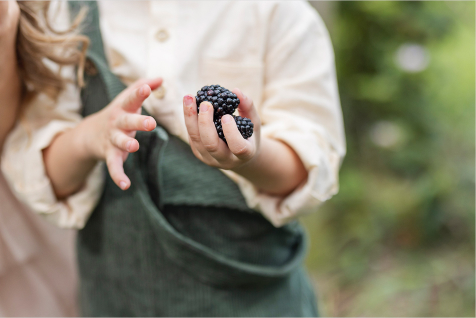 close up of boy holding blackberries